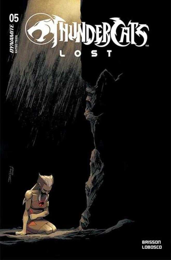 Thundercats Lost 